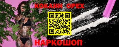 хмурый Шелехов