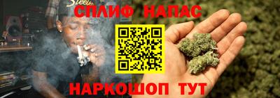 хмурый Шелехов