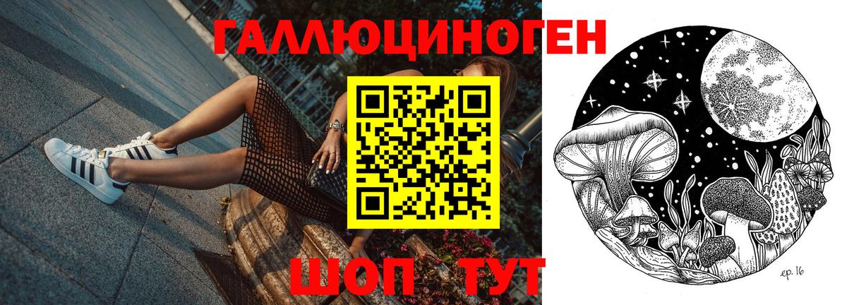 Галлюциногенные грибы GOLDEN TEACHER  Вход с VPN  Великий Устюг 